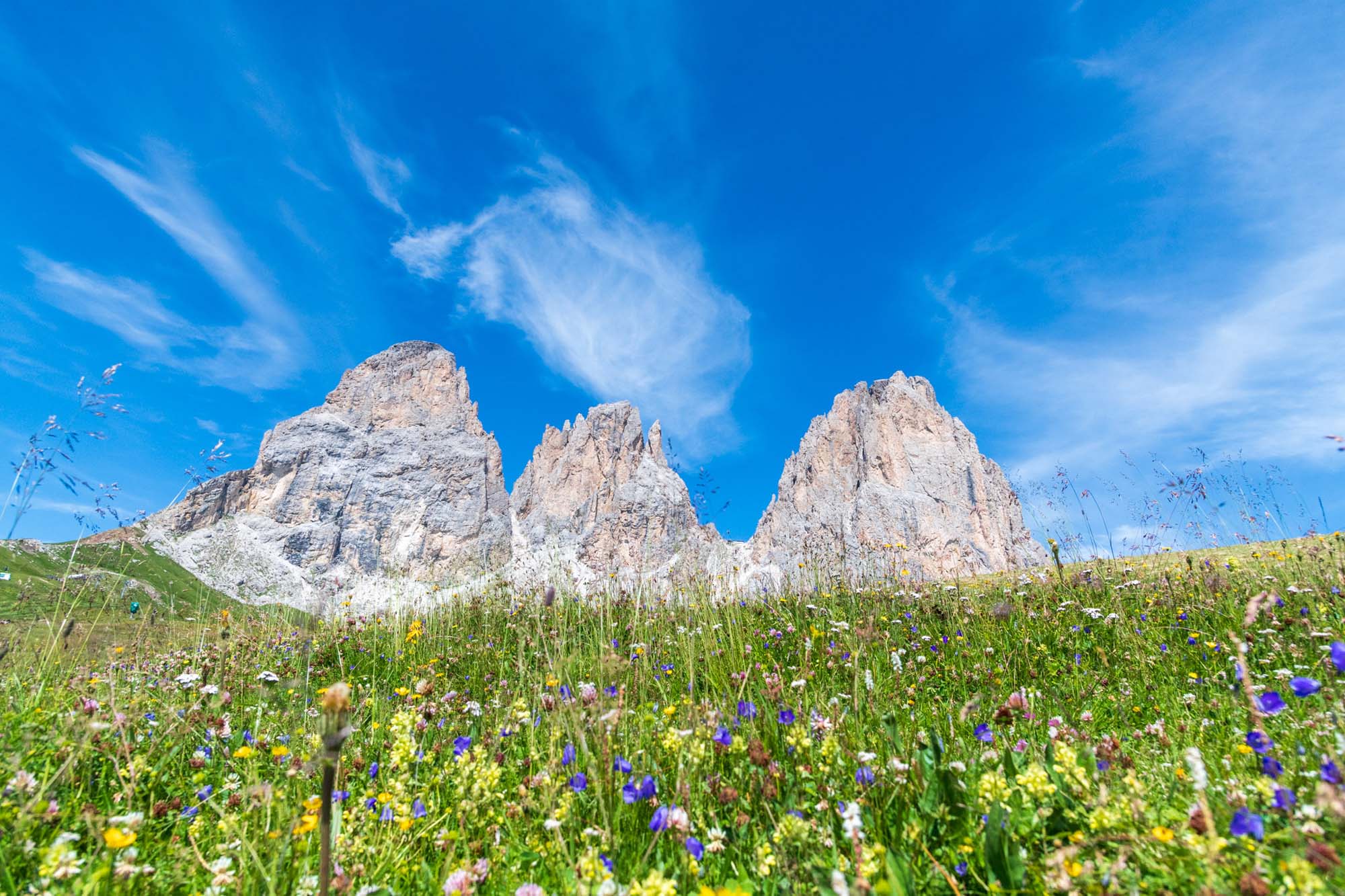 Blick auf den Langkofel und Plattkofel
