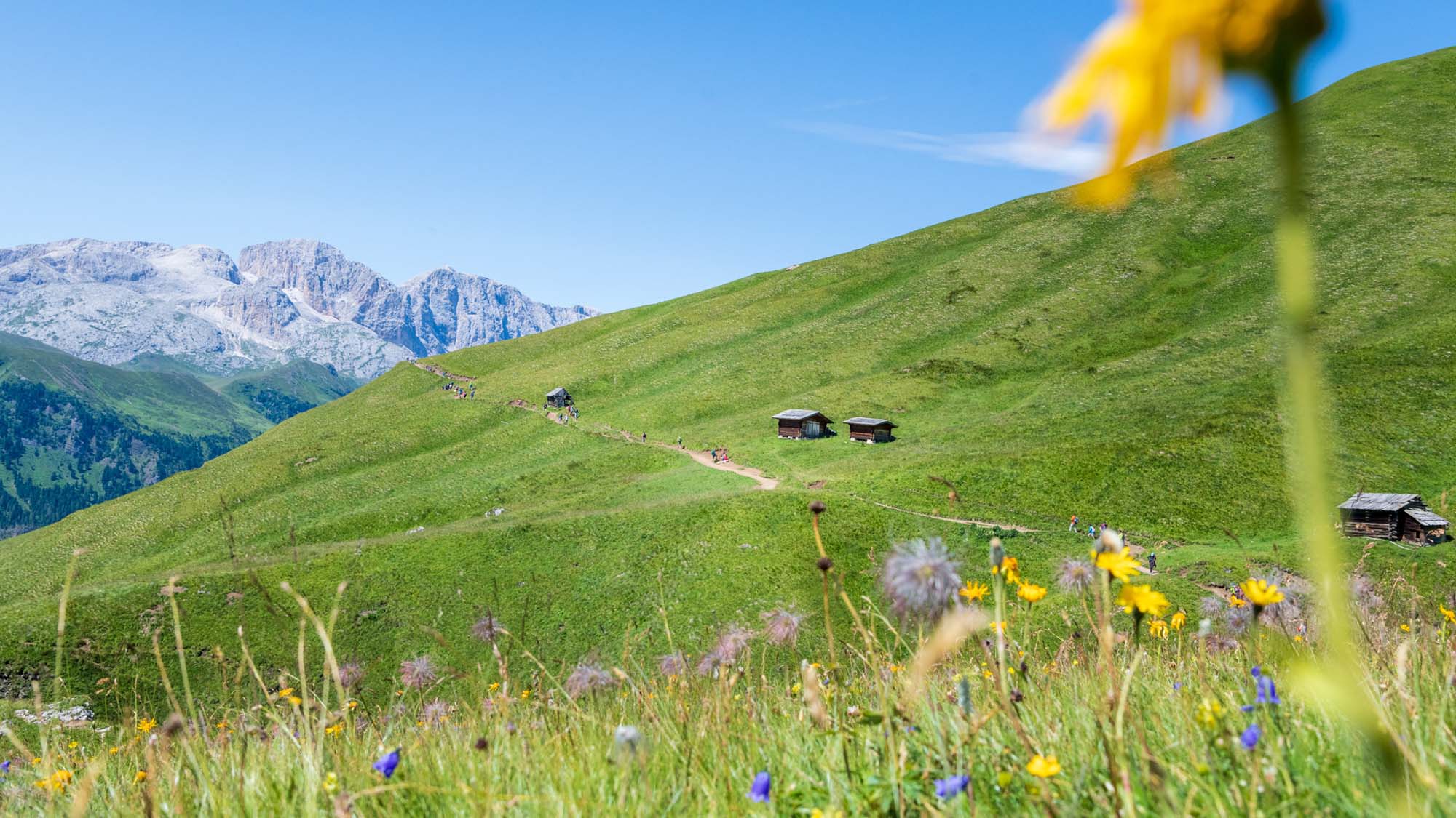 Der schöne Friedrich-August-Weg mit der Rosengartengruppe im Hintergrund