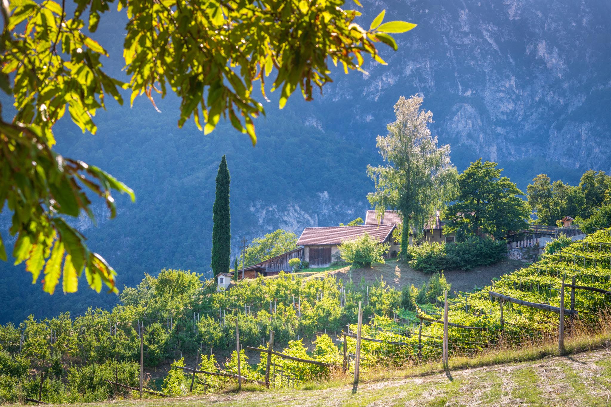 Gummererhof im Frühling
