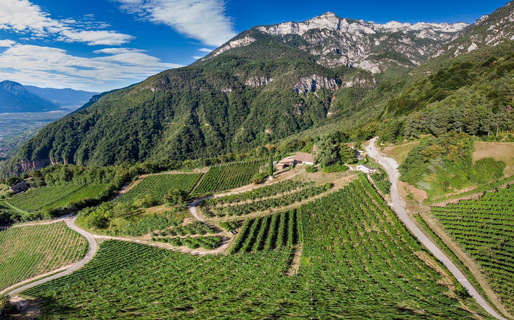 Gummererhof im Sommer