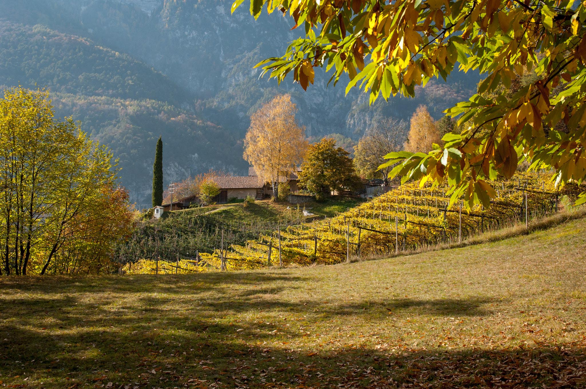 Gummererhof im Herbst