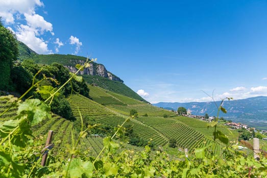 Weinlehrpfad Kurtatsch